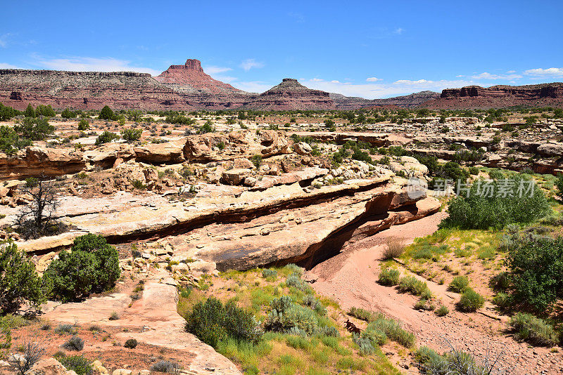 犹他州的White Canyon and Jacob's Chair